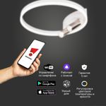 Умный потолочный светильник Eurosvet Luminari 90247/3 90247/3 белый/хром Smart