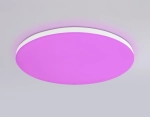 Потолочный светодиодный светильник с Wi-Fi Яндекс Алисой/Tuya/Smart Home/Alexa FZ2001 WH белый IP54 20W 3000K-6500K+RGB D300*55 (ПДУ ИК)