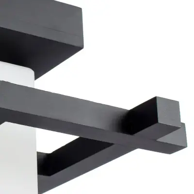 Потолочный светильник Arte Lamp WOODS A8252PL-1CK, 1хE27