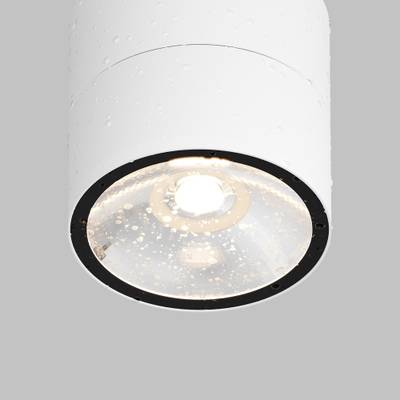 Потолочный светильник Spin 3000К 12Вт IP 54, O310CL-L12W3K. TM Maytoni