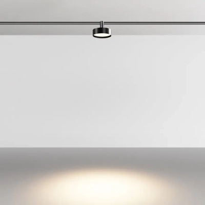Трековый светильник Зон / Zon 3000К 12Вт 100°, TR204-1-12W3K-B. TM Maytoni