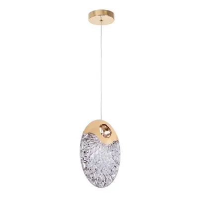 Подвесной светильник Arte Lamp VITORIA A2095SP-1GO, 1хLED