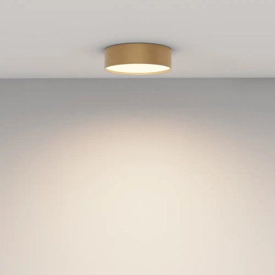 Потолочный светильник Зон / Zon 24 Вт 3000 К 120°, C032CL-24W3K-RD-MG. TM Maytoni