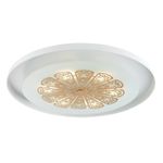 Потолочный светильник Incarnatio 2602-5C. ТМ Favourite