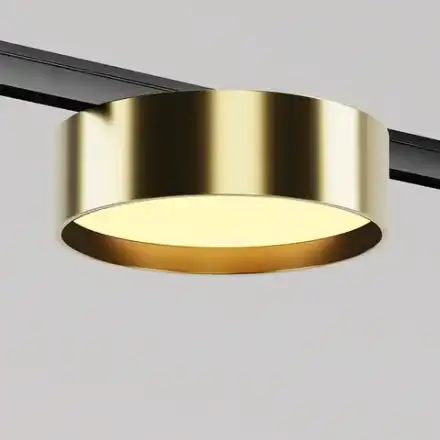 Трековый светильник Зон / Zon Levity 2700К 12Вт 100°, TR189-1-12W2.7K-BBS. TM Maytoni