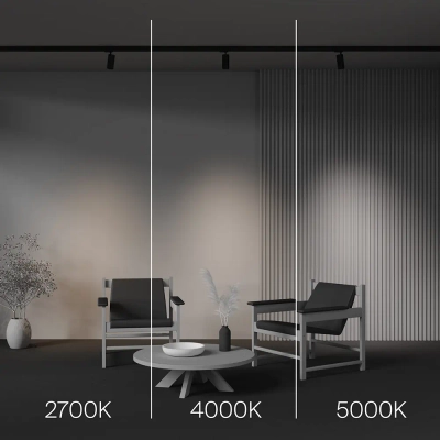 Трековый светильник Фокус / Focus Led Trinity 2700-5000K 12Вт 36°, TR197-3-12WCCT-M-B. TM Maytoni