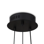 Подвесной светильник Citrus FR5398PL-L6B, LED. TM Maytoni
