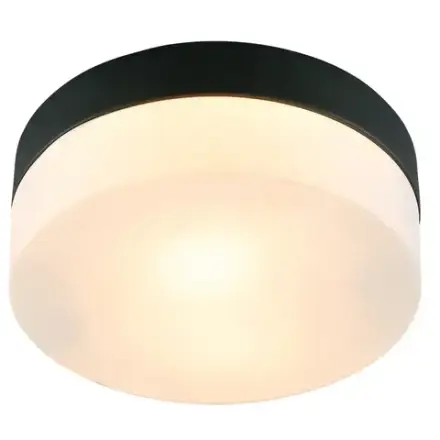 Потолочный светильник Arte Lamp AQUA-TABLET A6047PL-1BK, 1хE27