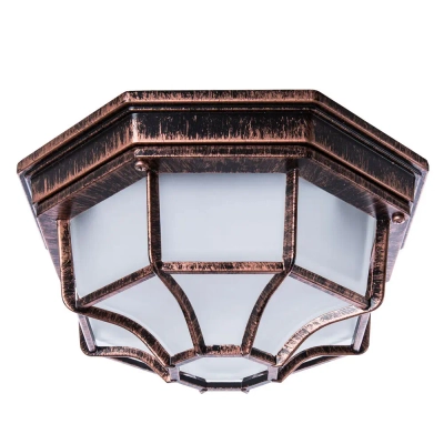 Уличный потолочный светильник Arte Lamp PEGASUS A3100PL-1AC, 1хE27