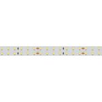 Светодиодная лента RT-A196-15mm 24V Day4000 (20 W/m, IP20, 2835, 5m) (Arlight, Открытый)