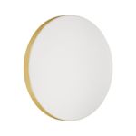 3066/CL MINI SN 042 Светильник пластик/белый/под светлое дерево LED 30Вт 4000К D330 IP43 SMALLI