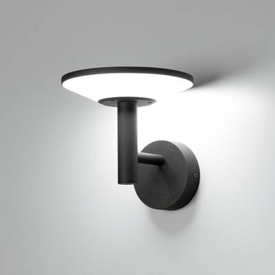 Citilux Dorn CLU05W LED Уличный настенный светильник Графит
