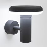 Citilux CLU01W LED Уличный настенный светильник Графит