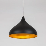 Подвесной светильник Arte Lamp CARMEL A7076SP-1BK, 1хE14