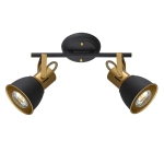 Спот Arte Lamp JOVI A1677PL-2GO, 2хE14