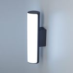Citilux CLU0007 LED Уличный светильник Графит