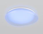 Светильник светодиодный RGB с пультом  FZ1610 FR матовый IP20 40W 3000-6500K+RGB 410*100 (ПДУ ИК)