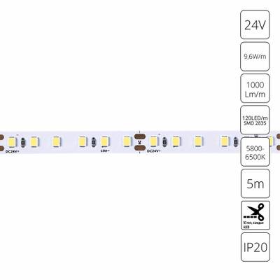 Светодиодная лента 24V 9,6W/m 6000К 5м Arte Lamp TAPE A2412008-03-6K, LED