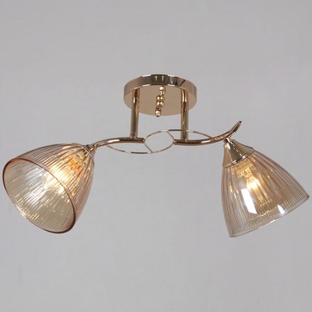 02560-0.3-02 FG светильник потолочный