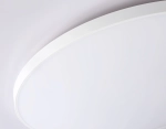 Светильник светодиодный потолочный FZ1223 WH белый IP44 43W 4200K D455*60 (Без ПДУ)