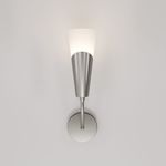 Настенный светильник Rhyton 60167/1 никель 60167/1 никель