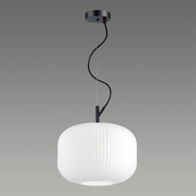 4754/1 PENDANT ODL21 489 белый/черный Подвес E27 60W ROOFI