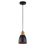 Подвесной светильник Arte Lamp EURICA A4248SP-1BK, 1хE27