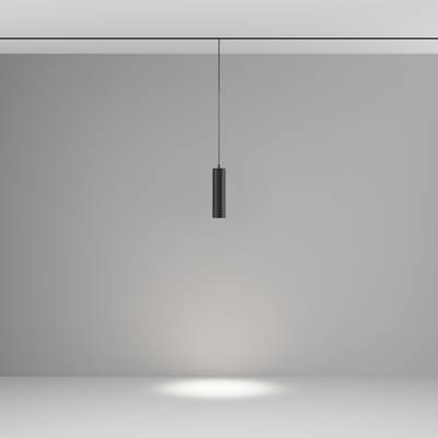 Трековый подвесной светильник Focus Led Exility 2700-6000K 12Вт 36° Dim Smart, TR041-4-12W3K-M-DS-B. TM Maytoni