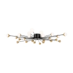 Потолочный светильник Celebrity FR5242CL-24B, G4х24. TM Maytoni