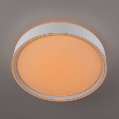 Citilux BOSS CL751250G LED RGB Светильник с пультом Белый