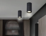 Светильник накладной TN213183 BK черный GU10 max 12W D55*100