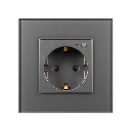 Розетка электрическая с Zigbee управлением SCT-OMALI-EUZB1-PL-GR (240V, 16A, Zigbee) (Arlight, -)