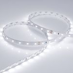 Светодиодная лента RT 2-5000 24V White6000 (3528, 300 LED, LUX) (Arlight, 4.8 Вт/м, IP20)
