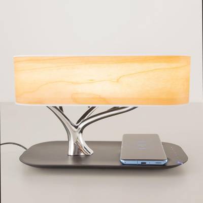 Citilux Ньютон CL803042 LED Настольная лампа Qi Bluetooth