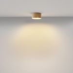 Потолочный светильник Zon 2700K 12Вт 120°, C032CL-12W2.7K-RD-MG. TM Maytoni