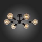 SL419.402.06 Люстра потолочная Черный E27 6*60W