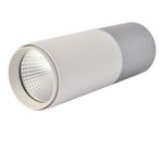 Потолочный светильник Deepak 3071-1C. ТМ Favourite