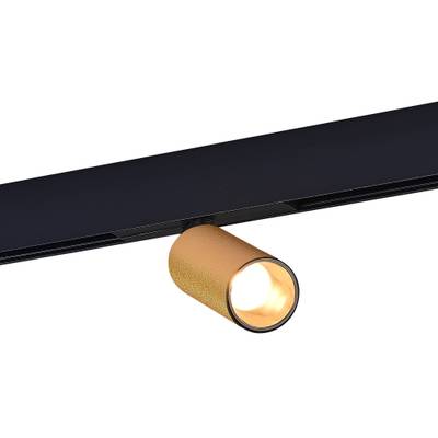 ST807.246.12 Магнитный трековый светильник Золотистый LED 1*12W 4000K 700Lm Ra>90 IP20 D50xH173 48VV