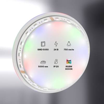 Светодиодная лента 24В 5050 19,2Вт/м RGBW 6000K 5м IP20, 10181. TM Maytoni
