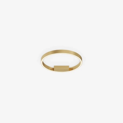 Потолочный светильник Рим / Rim 2600-3500К 24Вт, MOD058CL-L25BSK. TM Maytoni