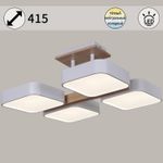 03359-0.3-04 WH+WOOD светильник потолочный