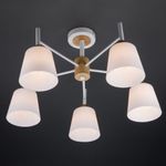 Потолочная люстра со стеклянными плафонами 70085/5 белый, E27х5
