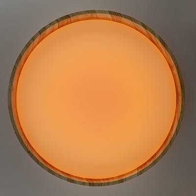 Citilux ENZO CL753452G LED RGB Светильник с пультом Клён