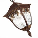 SL083.703.01 Светильник уличный подвесной ST-Luce Кофейный/Кофейный, Прозрачный E27 1*60W