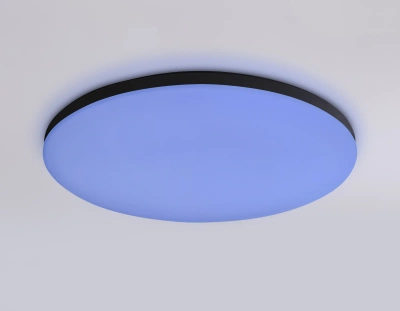 Потолочный светодиодный светильник с Wi-Fi Яндекс Алисой/Tuya/Smart Home/Alexa FZ2004 BK черный IP54 20W 3000K-6500K+RGB D300*55 (ПДУ ИК)