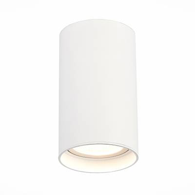 ST157.532.20 Светильник потолочный Белый LED 1*20W 3000K 1 600Lm Ra&gt;90 60° IP44 D95xH150 220-265V