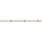 Светодиодная лента MICROLED-5000 24V White-CDW 8mm (2216, 240 LED/m, Bipolar) (Arlight, 9.6 Вт/м, IP20)