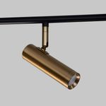 Потолочный светодиодный светильник с поворотным механизмом 20252/6 LED черный/латунь, LED