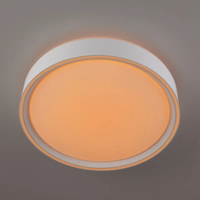 Citilux BOSS CL751250G LED RGB Светильник с пультом Белый