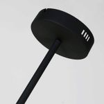 Подвесная люстра Duplex 2324-12P. ТМ Favourite